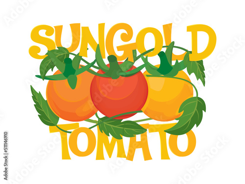 Cherry Tomato Vector, Tomato Icon, Tomato Vector, Summer Garden Vegetable, Vegetable Vector, Tomato Illustration, Vector Illustration Background
