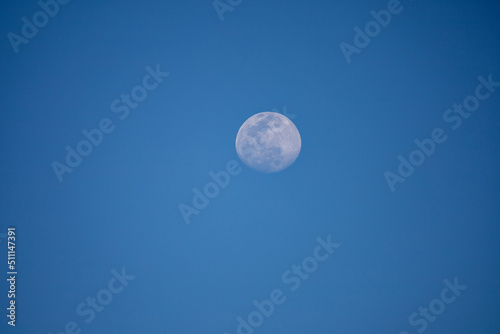 A blue full moon on a blue sky during the day in San Diego  California.