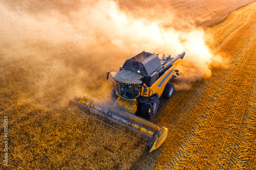 Ukraine harvester harvests wheat drone Top view. photo