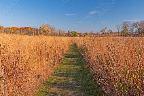 Path Through the Prairie Grasses in the Fall