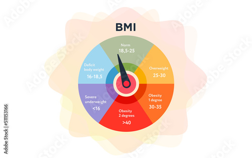 BMI scale Meter. Vector illustration. Colorful infographic obese chart on white background