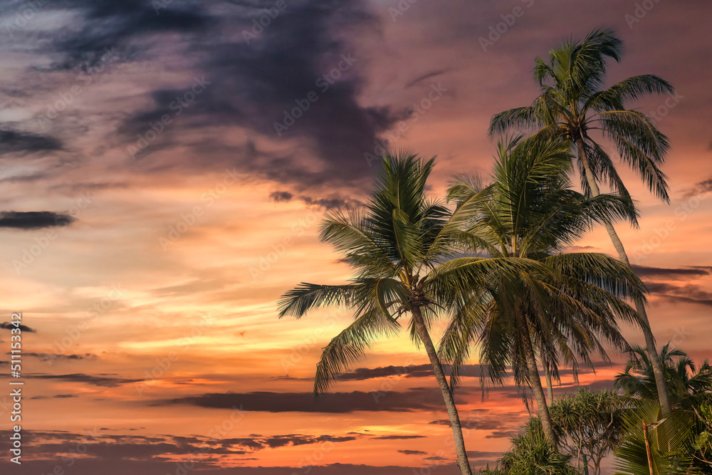Background tropical natural landscape with coconut palm trees on fantastic sunset, amazing orange sky with clouds for concept of summer vacation and business travel