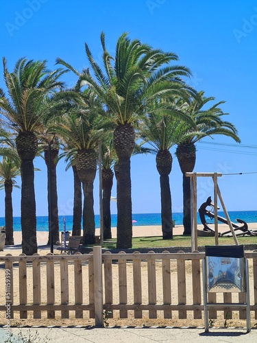 Naklejka Palms on the Beach