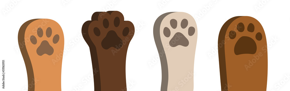 3d paws of a cat or dog. Paws set. Cute animal paws. Vector clipart isolated on white background. 3d paws of a cat or dog. Paws set. Cute animal paws. Vector clipart isolated on white background.