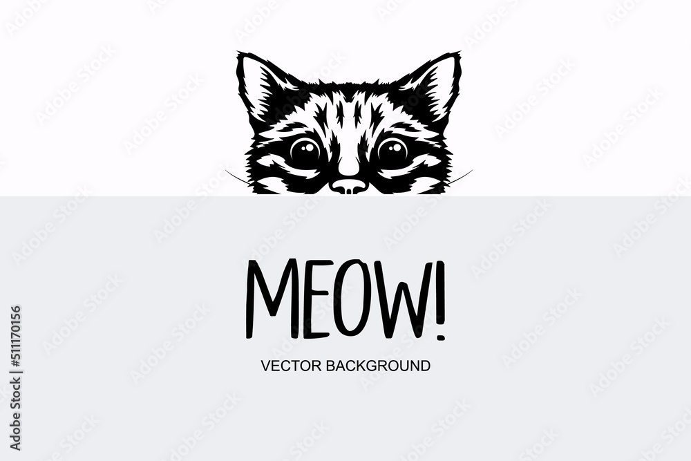 Vector Monochrome Hand Drawn Black, White Hiding Peeking Kitten. Kitten Head Peeking Over Blank White Placard, Poster, Card, Banner. Pet Kitten Curiously Peeking Behind White Background Vector Monochrome Hand Drawn Black, White Hiding Peeking Kitten. Kitten Head Peeking Over Blank White Placard, Poster, Card, Banner. Pet Kitten Curiously Peeking Behind White Background