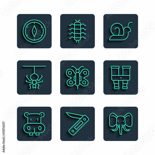 Set line Hippo or Hippopotamus, Swiss army knife, Elephant, Snail, Butterfly, Spider, Compass and Binoculars icon. Vector