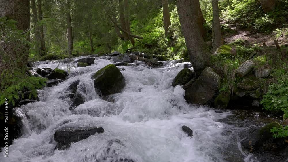 Mountain river flowing over the rocks between the trees in dense forest. Waterfall in the mountains. Wild river waterfall in mountain forest Mountain river flowing over the rocks between the trees in dense forest. Waterfall in the mountains. Wild river waterfall in mountain forest