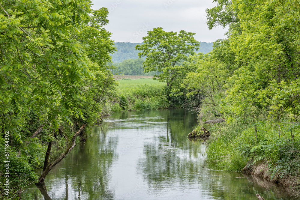 A river running through farm country with trees on the banks and a wooded hill in the background in the summer.