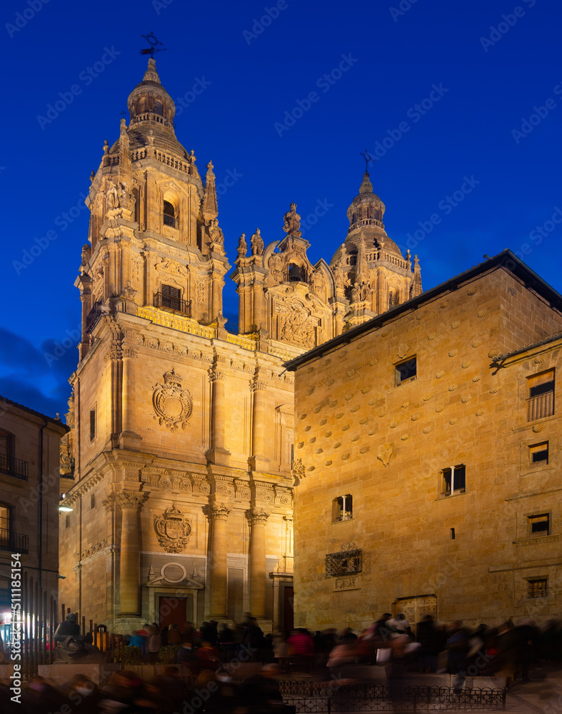 View of Cathedral of Salamanca in night time. Castile and Leon. Spain