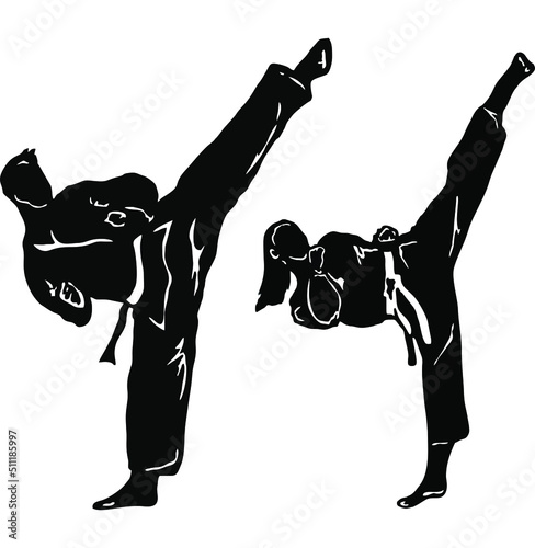 taekwondo illustration vector