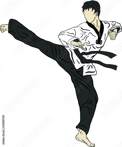 taekwondo kick vector