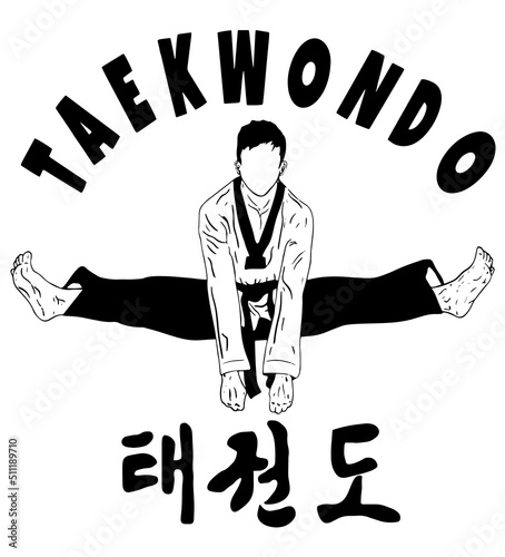 taekwondo kick vector