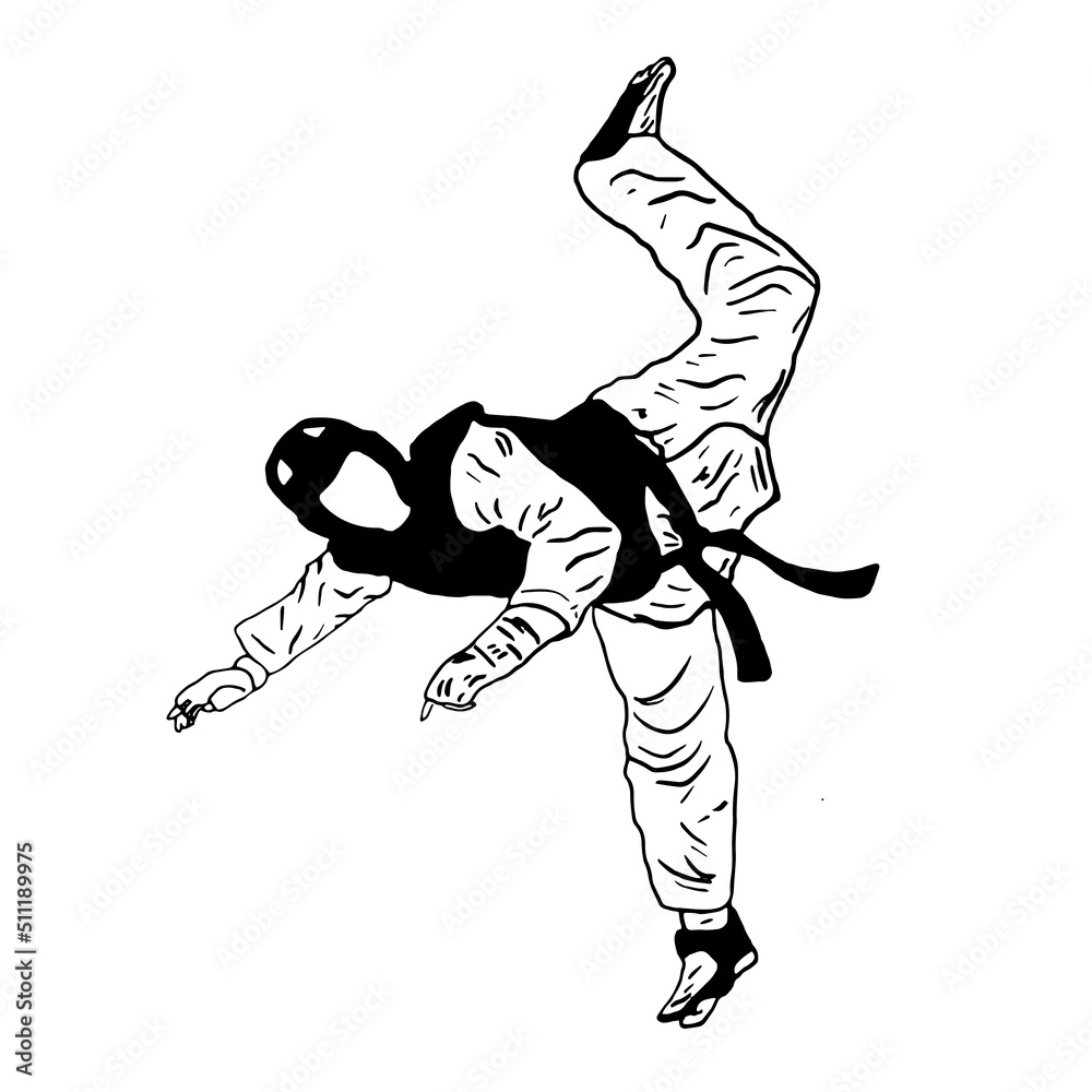 Obraz premium taekwondo kick vector