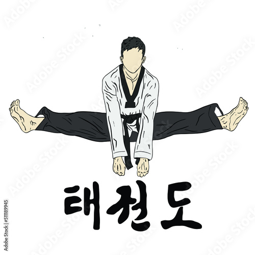 taekwondo kick vector