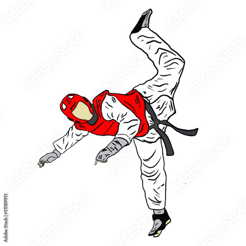 taekwondo kick vector