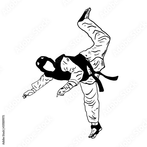 taekwondo kick vector