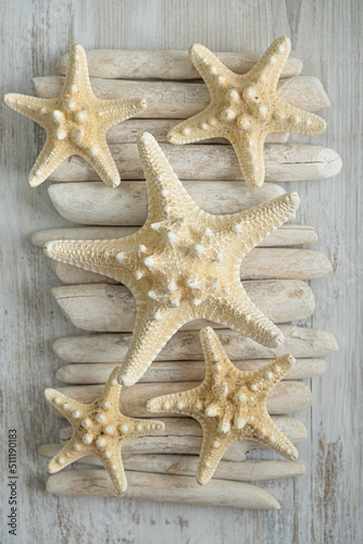  Summer wallpaper in a marine style. Nautical beige starfish on white driftwood sticks close-up.Texture of starfish and driftwood sticks.Background in a marine style in white and beige tones.