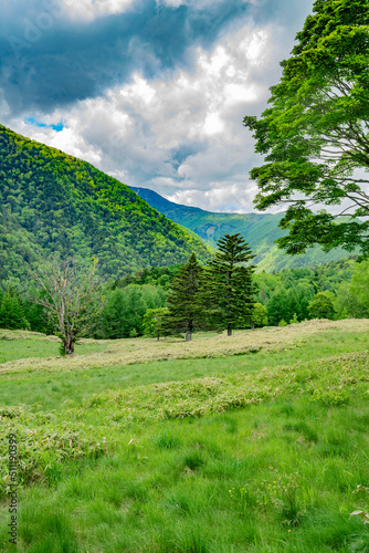 長野県宮田村　宮田高原キャンプ場の景色
