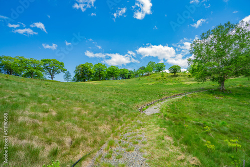 長野県宮田村　宮田高原キャンプ場の景色