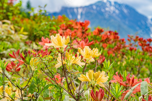 長野県宮田村　宮田高原キャンプ場の景色