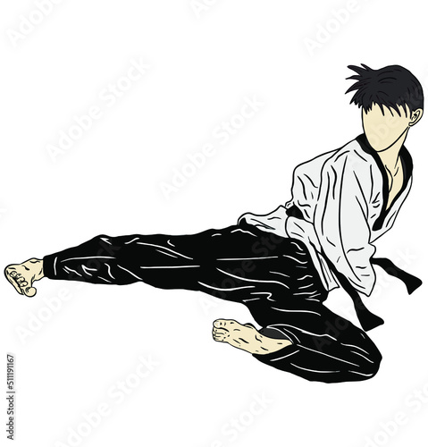 taekwondo vector icon logo illustration