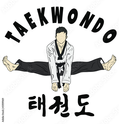 taekwondo vector icon logo illustration photo