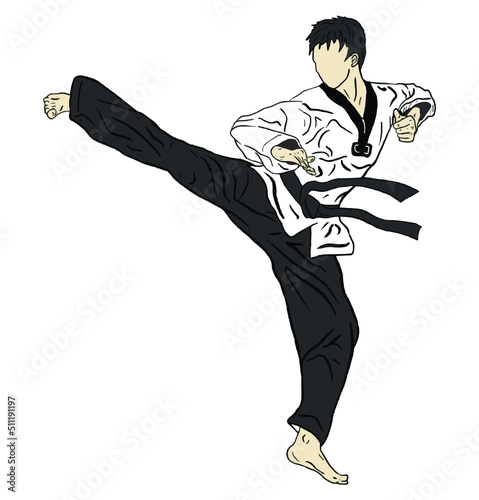 taekwondo vector icon logo illustration