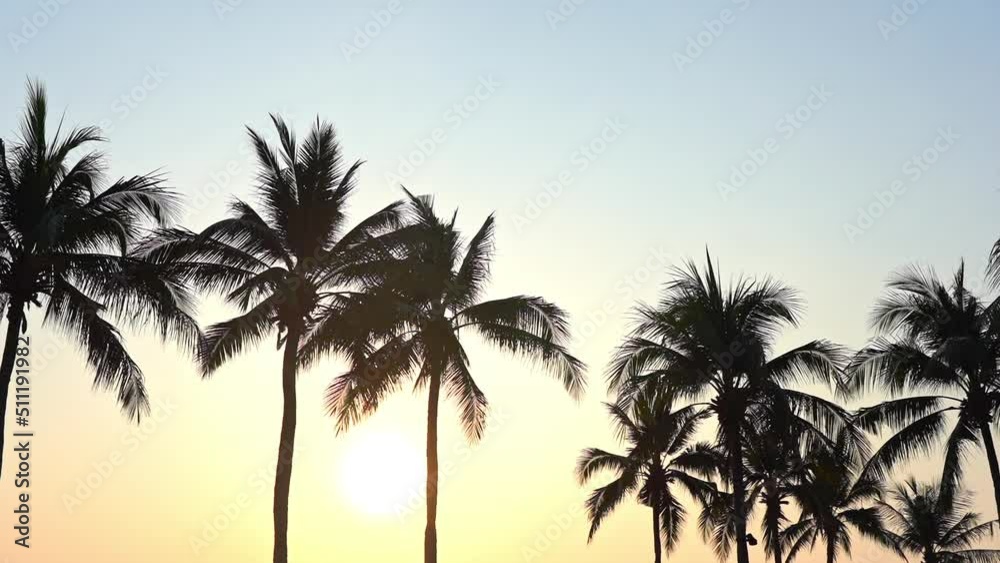 A line of coconut palm trees are silhouetted against a tropical setting sun. A line of coconut palm trees are silhouetted against a tropical setting sun.