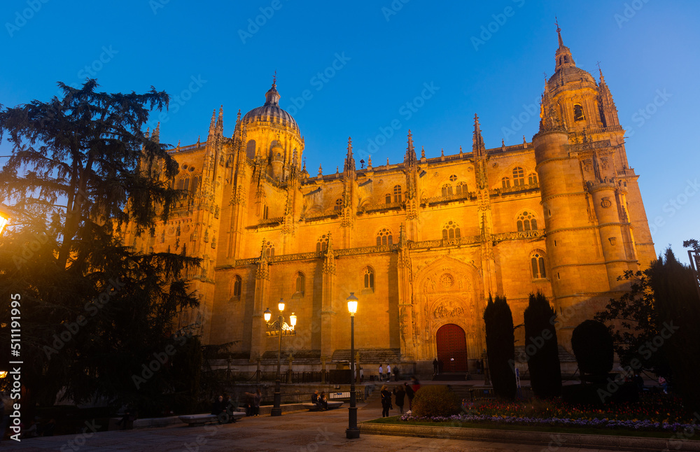 Illuminated north facade of impressive gothic building of New Cathedral of Salamanca with tall bell tower and baroque dome as seen from Plaza de Anaya in spring twilight, Spain
