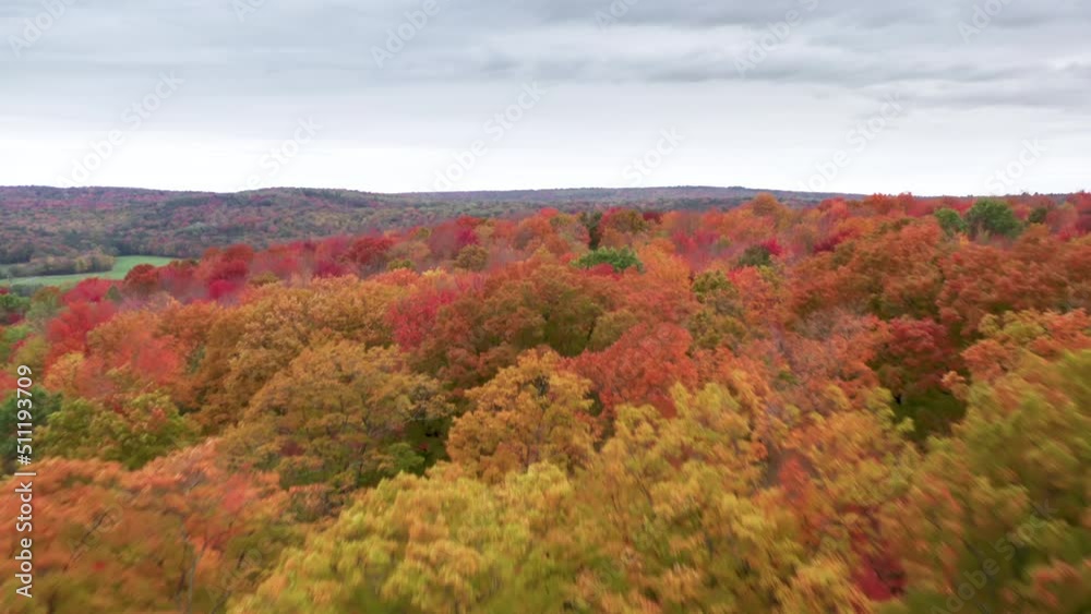Bright red, yellow, orange and green autumn leaves background. Drone flying fast above beautiful fall foliage woodland hills on autumn day. Cinematic b roll vibrant colorful fall leaves on tree top 4K