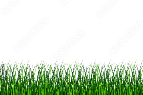 Green grass. Spring decoration. Seamless panorama. Ecology set. Vector illustration. stock image. 
