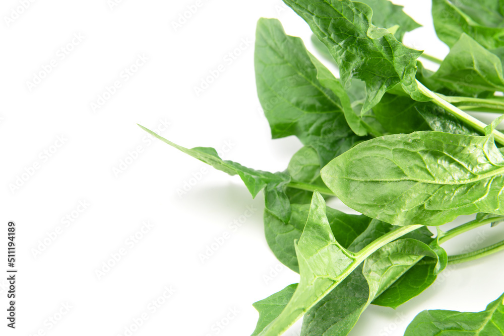 Baby spinach leaves isolated on white background. copy space Baby spinach leaves isolated on white background. copy space