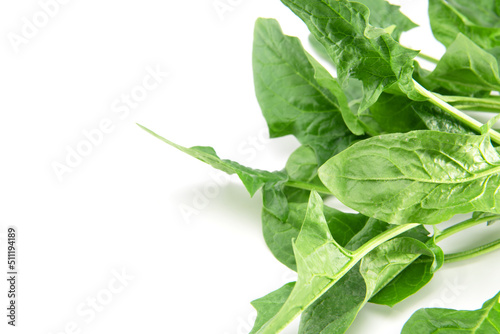 Baby spinach leaves isolated on white background. copy space