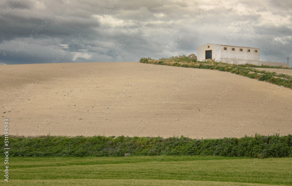 Fototapeta premium View of a farmhouse in the Andalusian countryside near the city of Jerez in Spain