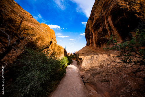 Devil Garden Landscape
