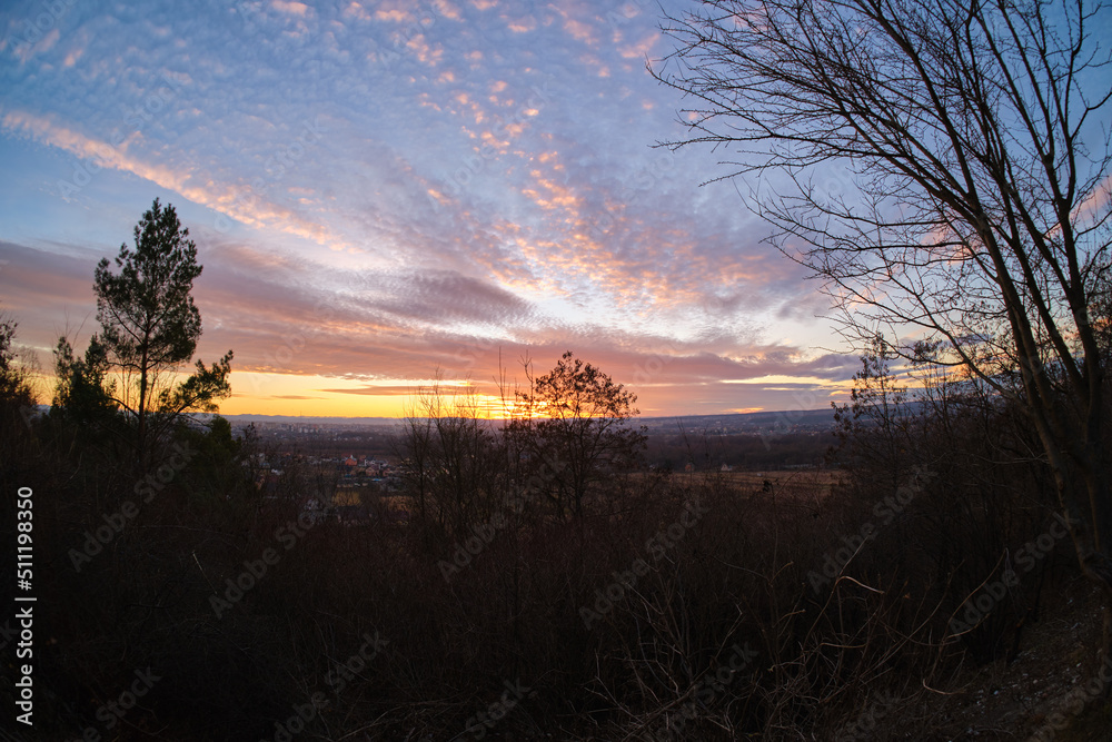 Dark foliage of small trees and bush against bright colorful sunset sky with vivid clouds illuminated with setting sun light Dark foliage of small trees and bush against bright colorful sunset sky with vivid clouds illuminated with setting sun light