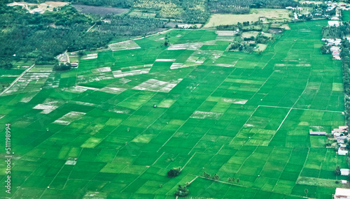 Rice field puzzle. a series of rice fields from above is like a giant puzzle that is beautifully arranged  © YURIANTO
