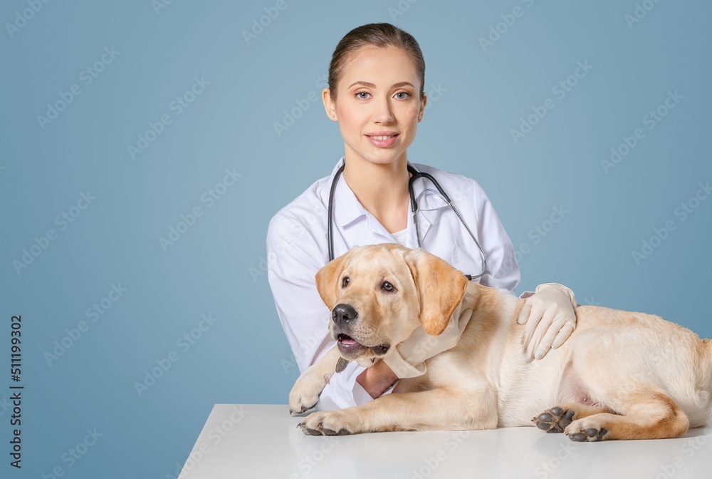Veterinary Clinic Advertisement Concept. Happy Female Nurse In Uniform Posing With Dog