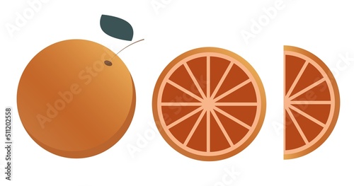 Set of orange fruits, whole and sliced, in trendy minimalistic style. Isolated on white background