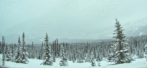 Wallpaper Mural Winter landscape in Banff National Park Canada Torontodigital.ca