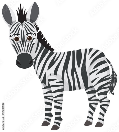 Cute zebra in flat cartoon style