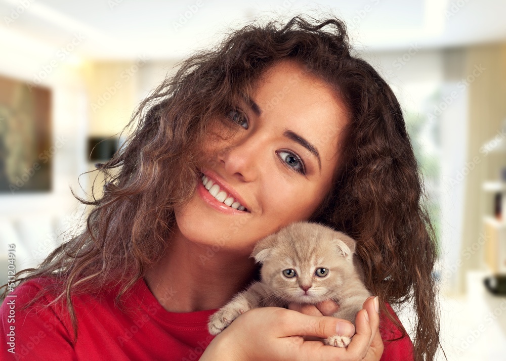 The relationship between a cat and a person. The hands caress the cat. The relationship between a cat and a person. The hands caress the cat.
