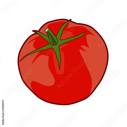 red tomato fruit illustration vector design