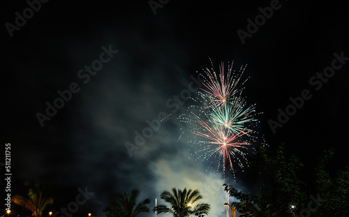Multicolored fireworks in the night sky. Celebration of Independence Day
