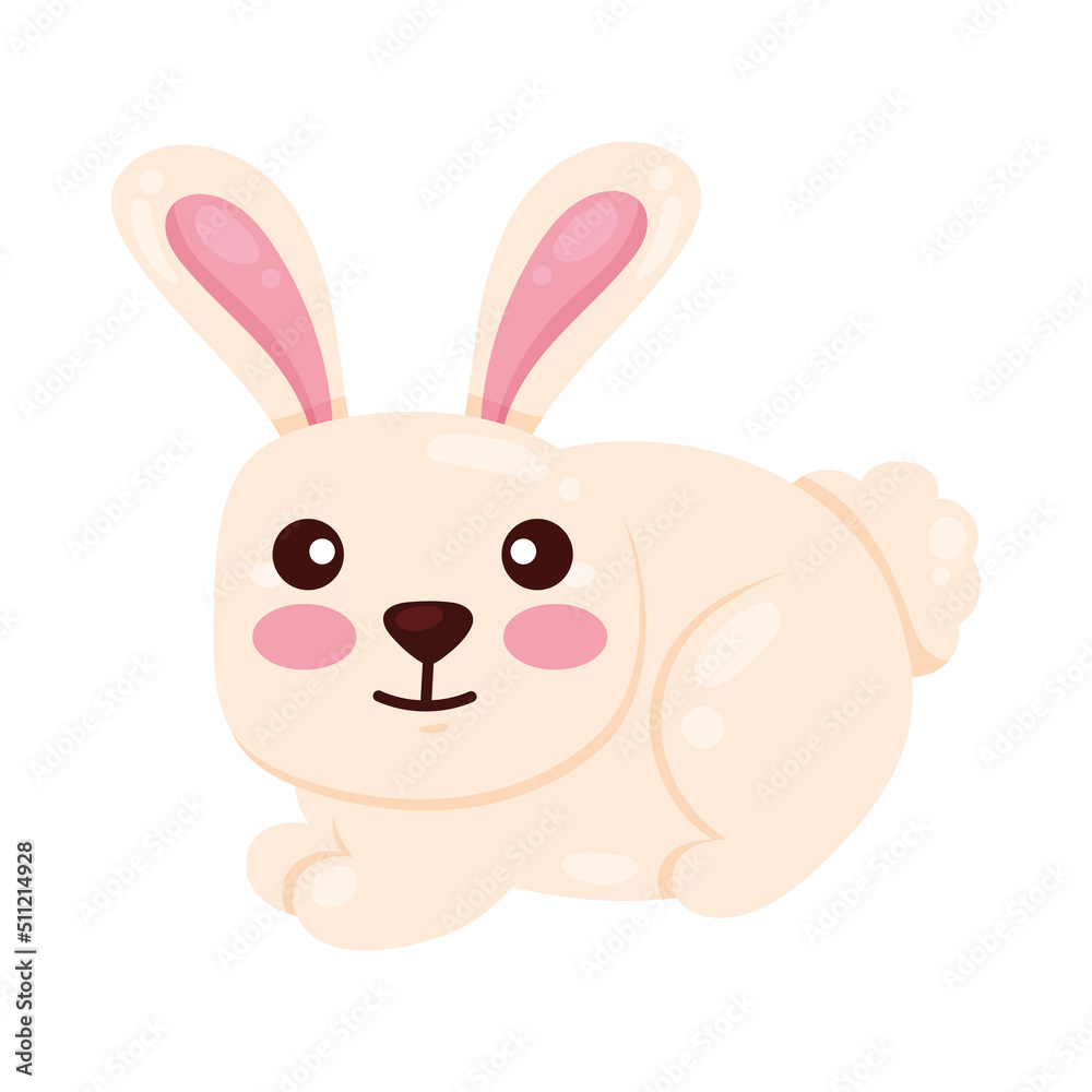 cute rabbit farm animal cute rabbit farm animal