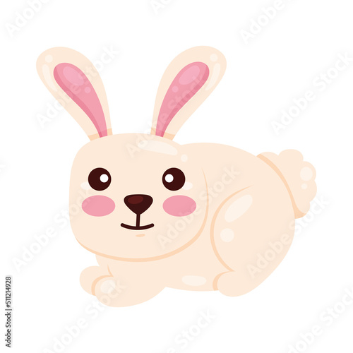 cute rabbit farm animal