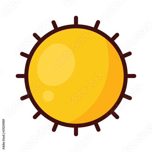 yellow summer sun