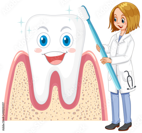 Dentist brushing bit tooth with a toothbrush on white background