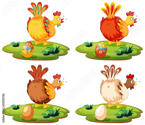 Cute chicken laying eggs