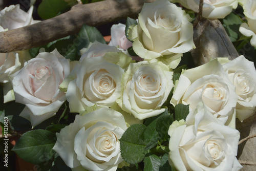 decoration using pure white roses                                                            